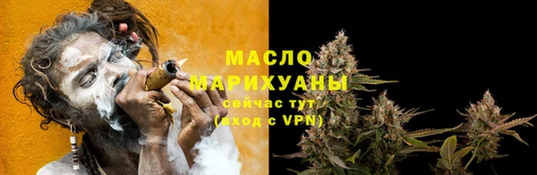 индика Белоозёрский