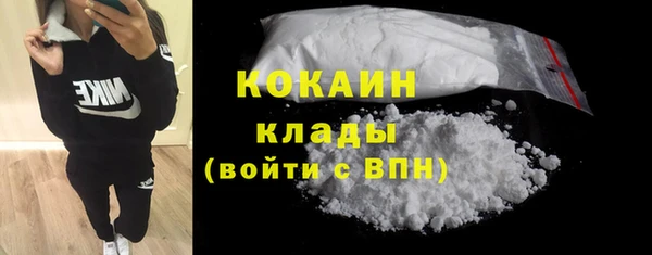 индика Белоозёрский