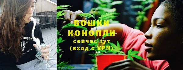 индика Белоозёрский