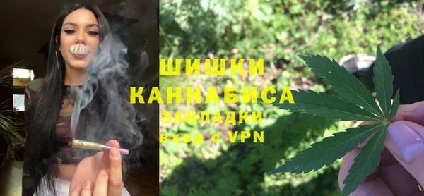 индика Белоозёрский