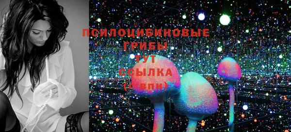 индика Белоозёрский