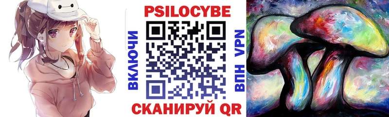 Купить закладки Бавлы Псилоцибиновые грибы MAGIC MUSHROOMS
